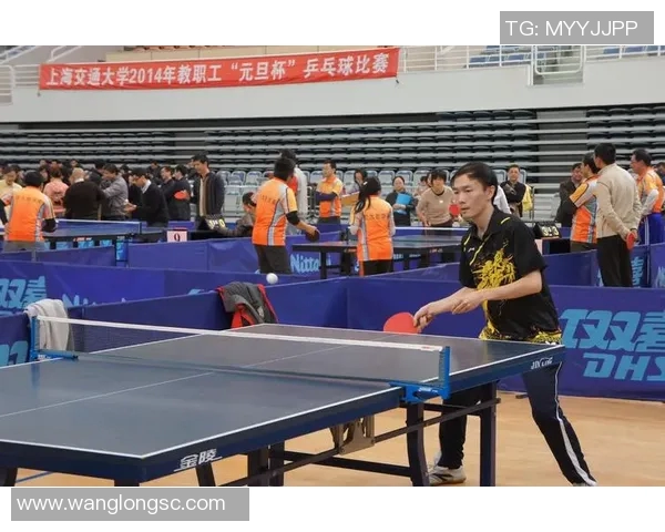 上海乒乓球队在城市联赛中的比赛经验与表现分析