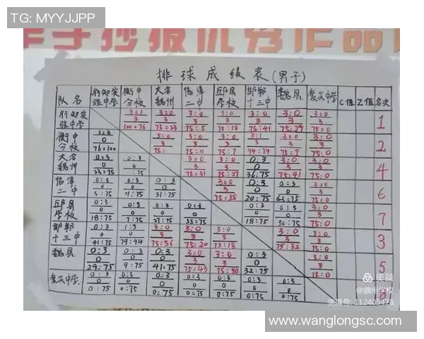 上海排球队与成都排球队赛后分析力量对比与战术总结