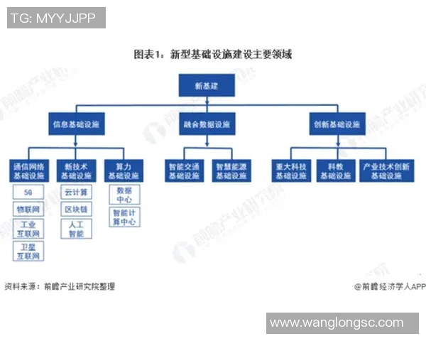 上海排球队战术解析与未来发展方向的深度探讨