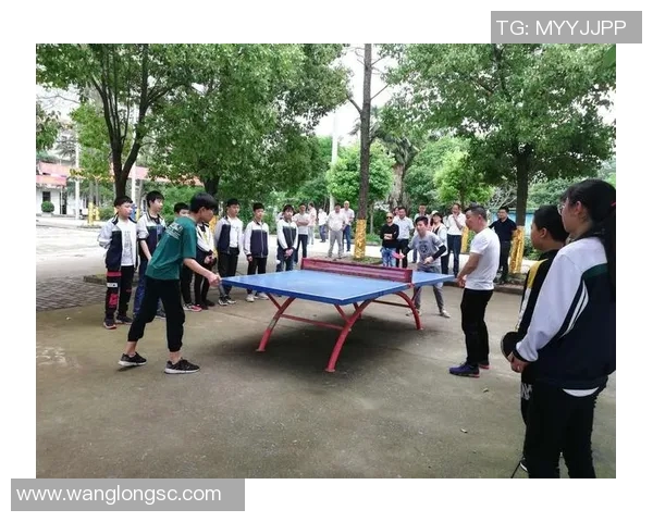 北京乒乓球队的速度之道：探索训练与比赛中的快速反应技巧