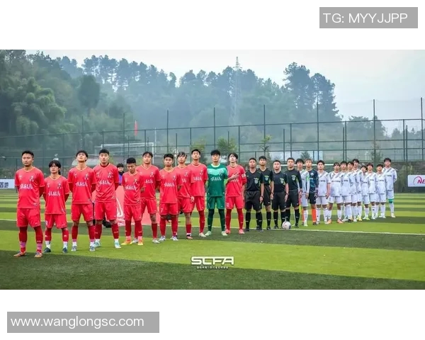 成都足球队实力强劲荣登全国足球实力排行榜第四位