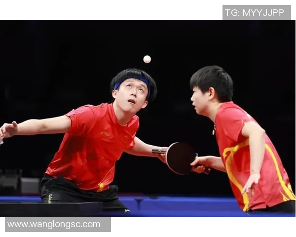 杭州乒乓球队在新老交替中的挑战与机遇分析